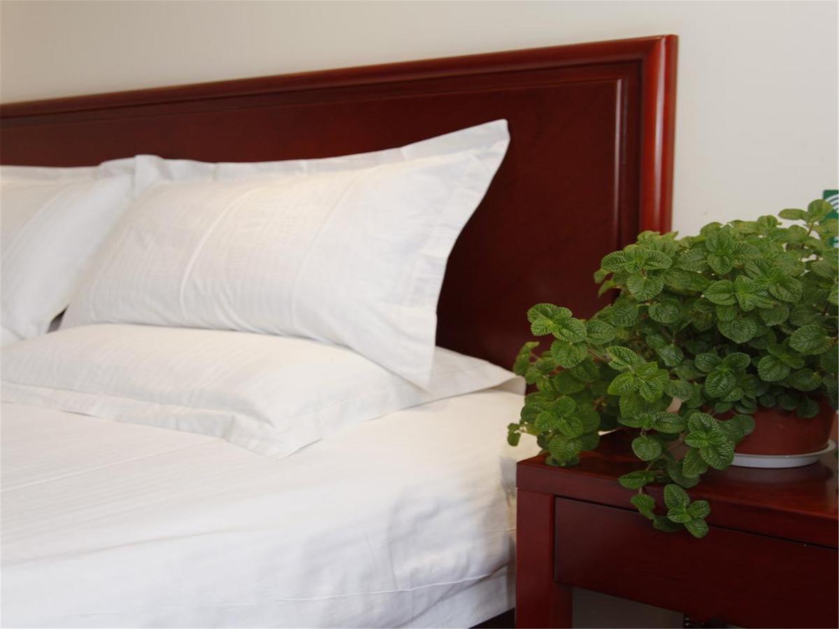 Greentree Inn Tianjin Meijiang Convention And Exhibition Center Express Hotel Eksteriør billede
